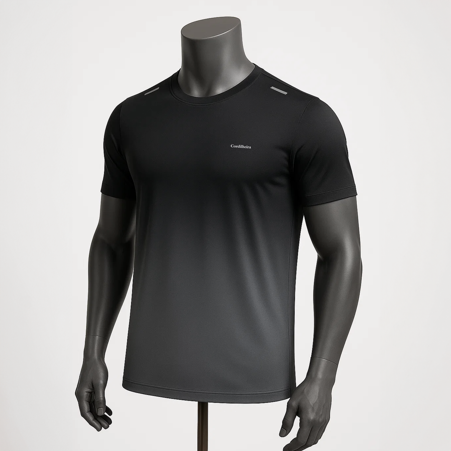 CAMISETA CORDILHEIRA GRADIENT MASCULINA